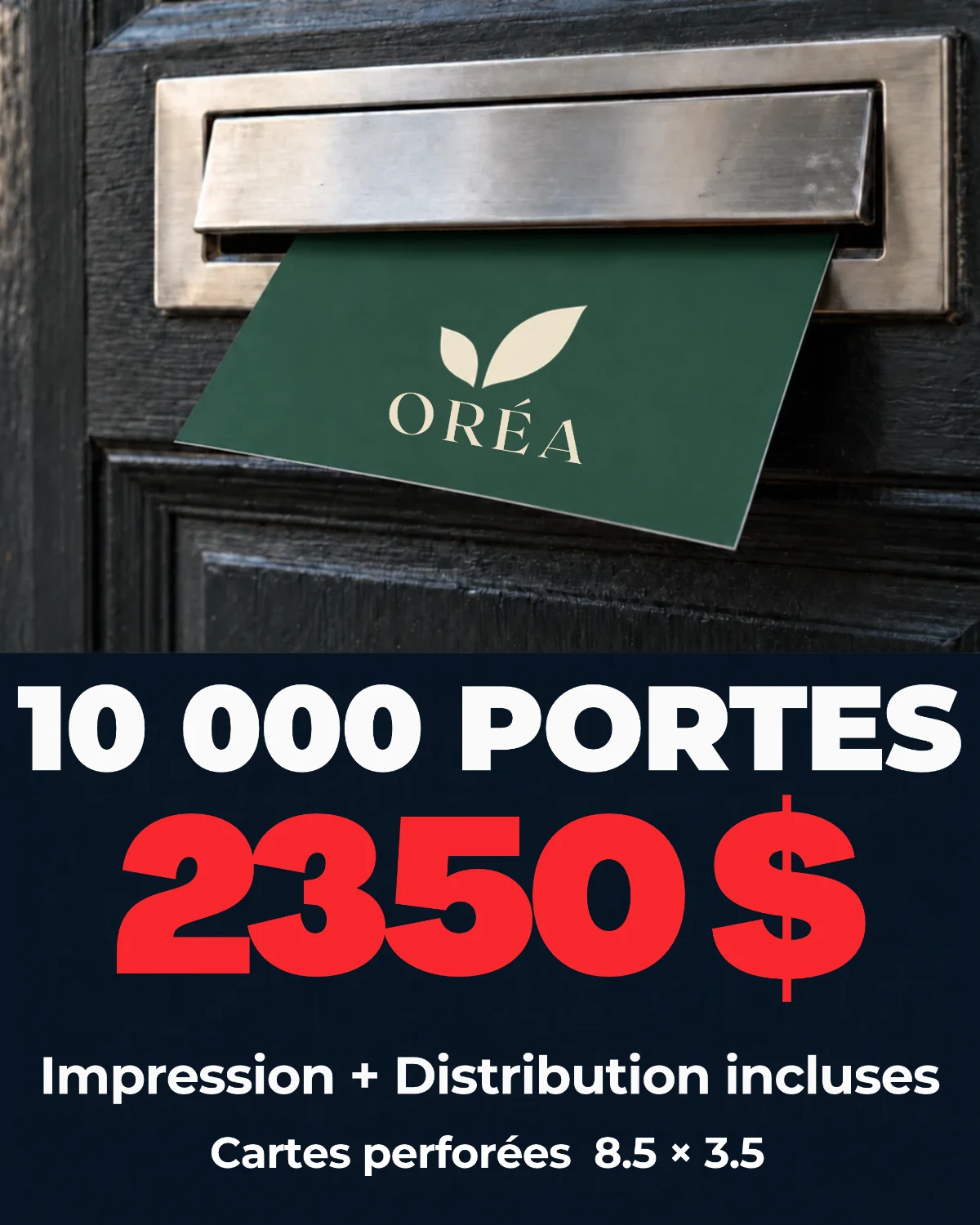 10 000 portes 2350$ cartes perforées