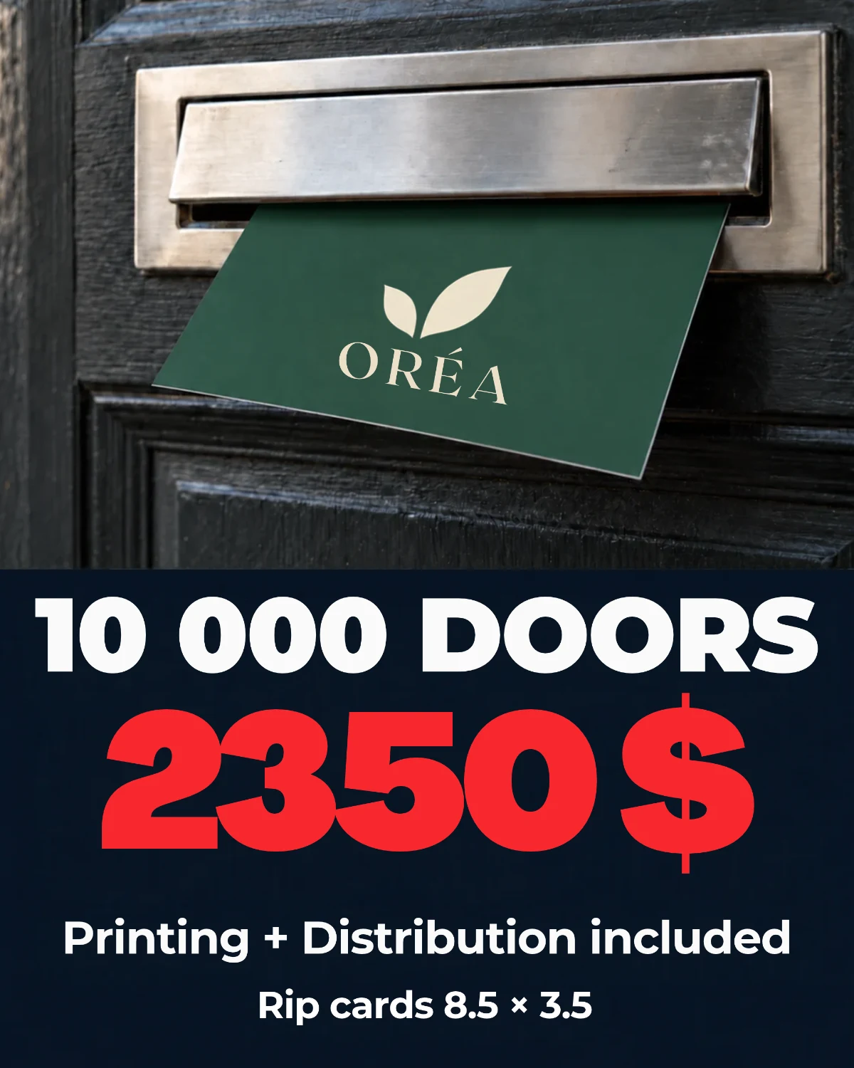 10 000 doors 2350$ rip cards