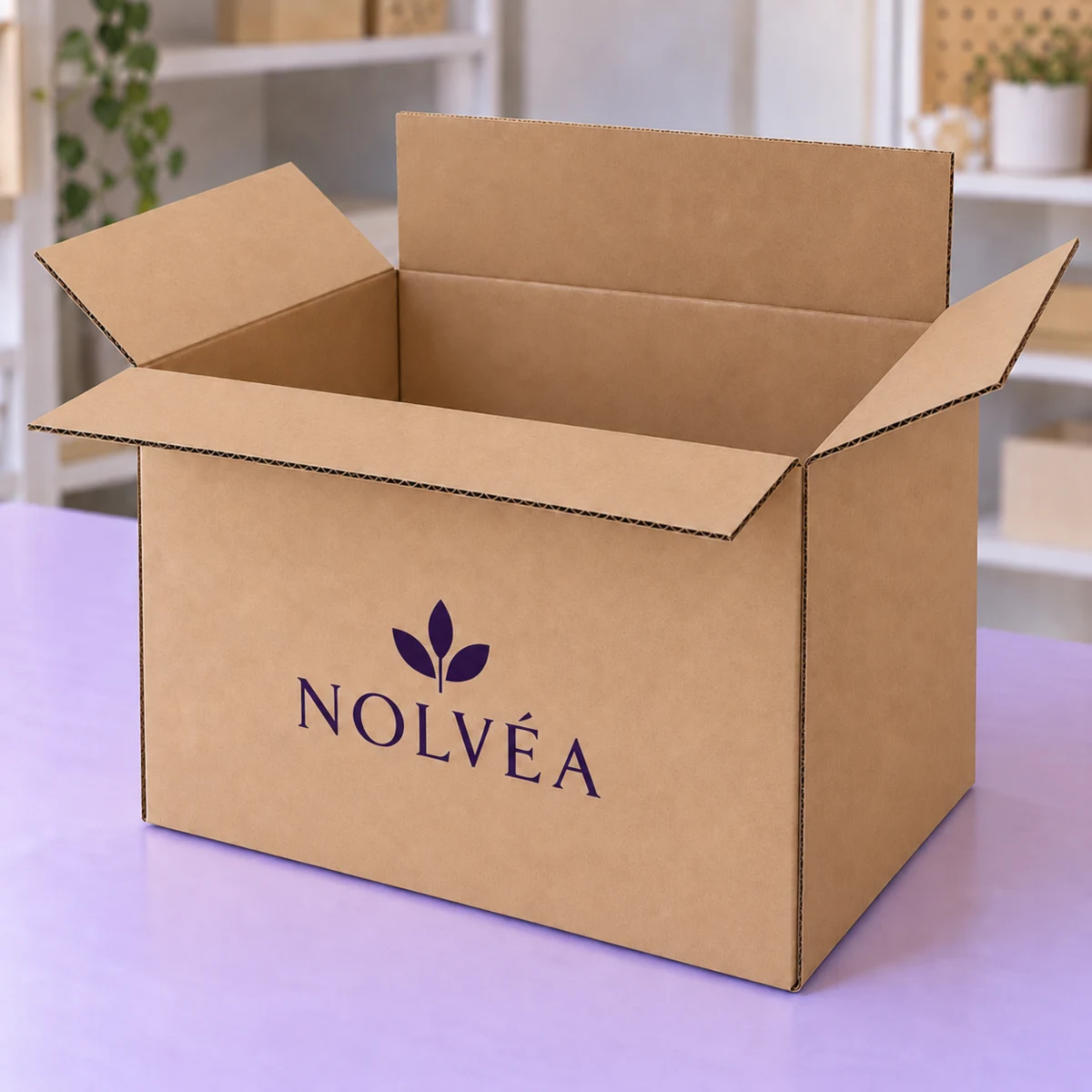 Packaging Boxes